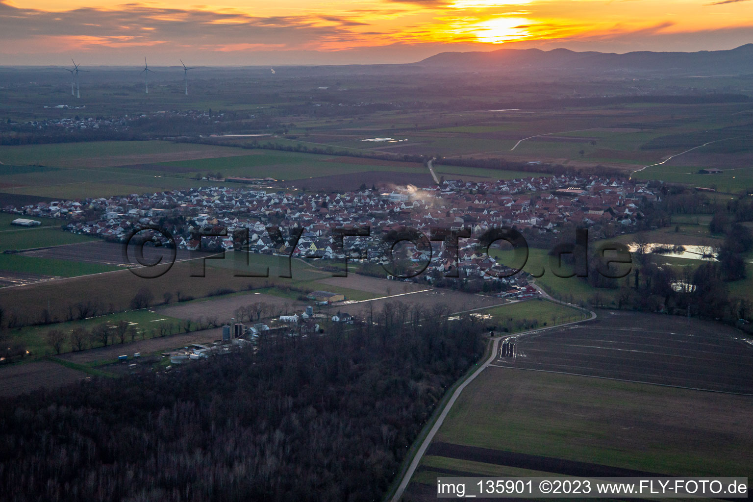 Bei Sonnenuntergang in Steinweiler im Bundesland Rheinland-Pfalz, Deutschland