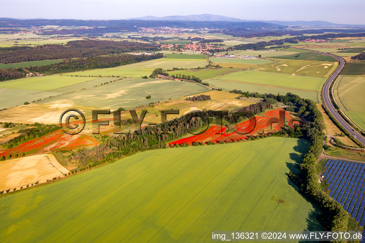 Klatschmohnfelder im Ortsteil Westerhausen in Thale im Bundesland Sachsen-Anhalt, Deutschland