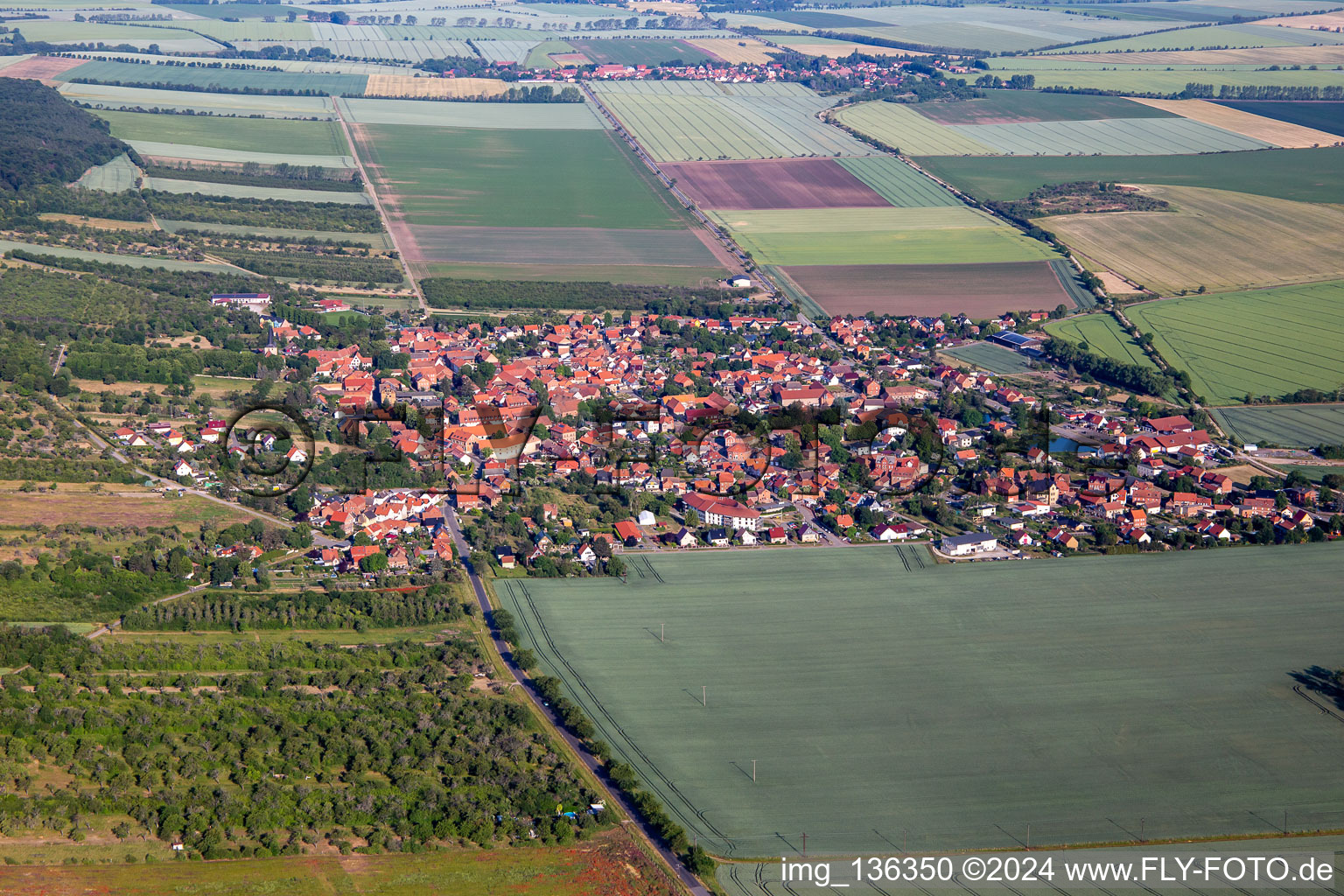 Dingelstedt am Huy von Südosten im Ortsteil Dingelstedt am Huy im Bundesland Sachsen-Anhalt, Deutschland