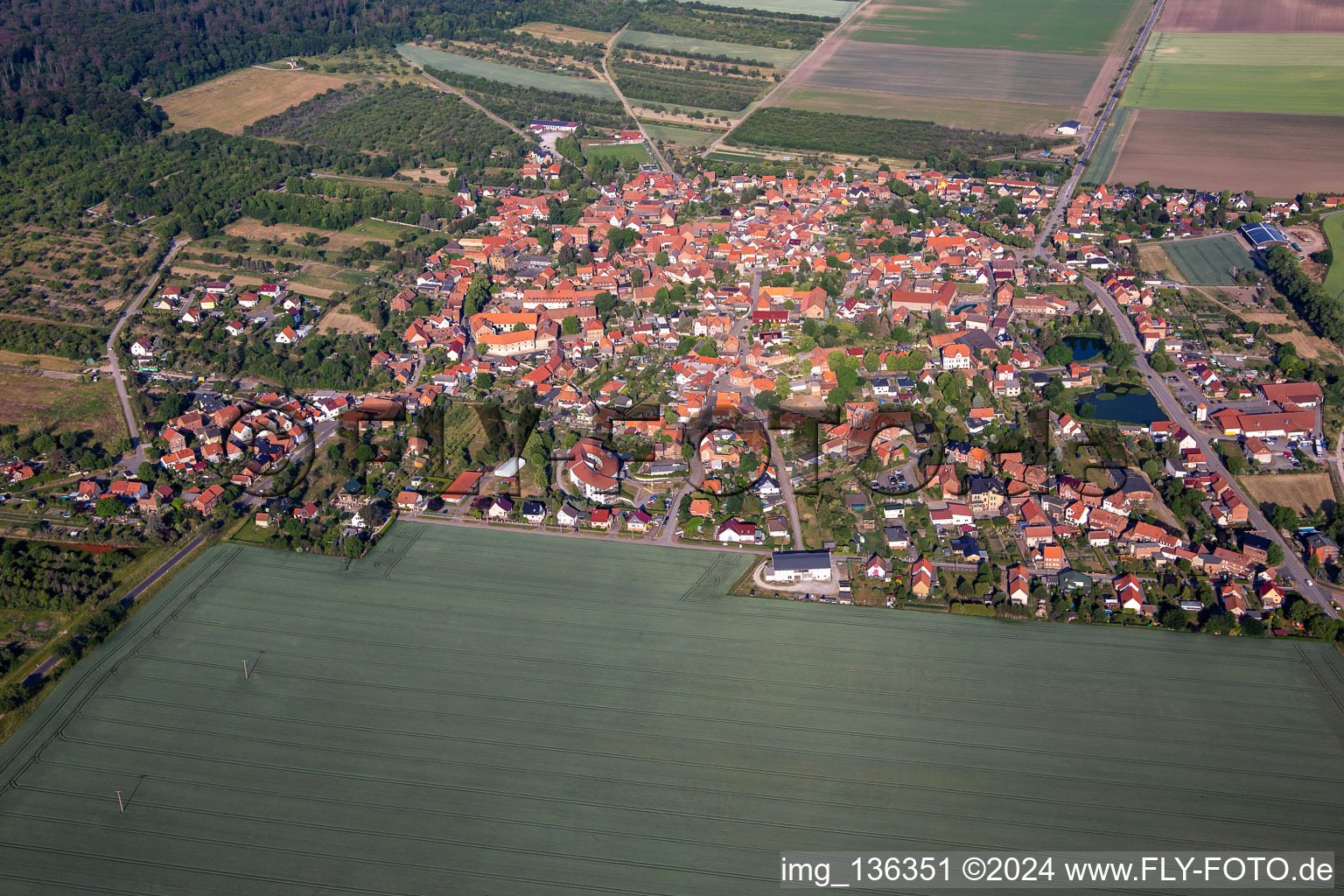 Dingelstedt am Huy von Osten im Ortsteil Dingelstedt am Huy im Bundesland Sachsen-Anhalt, Deutschland