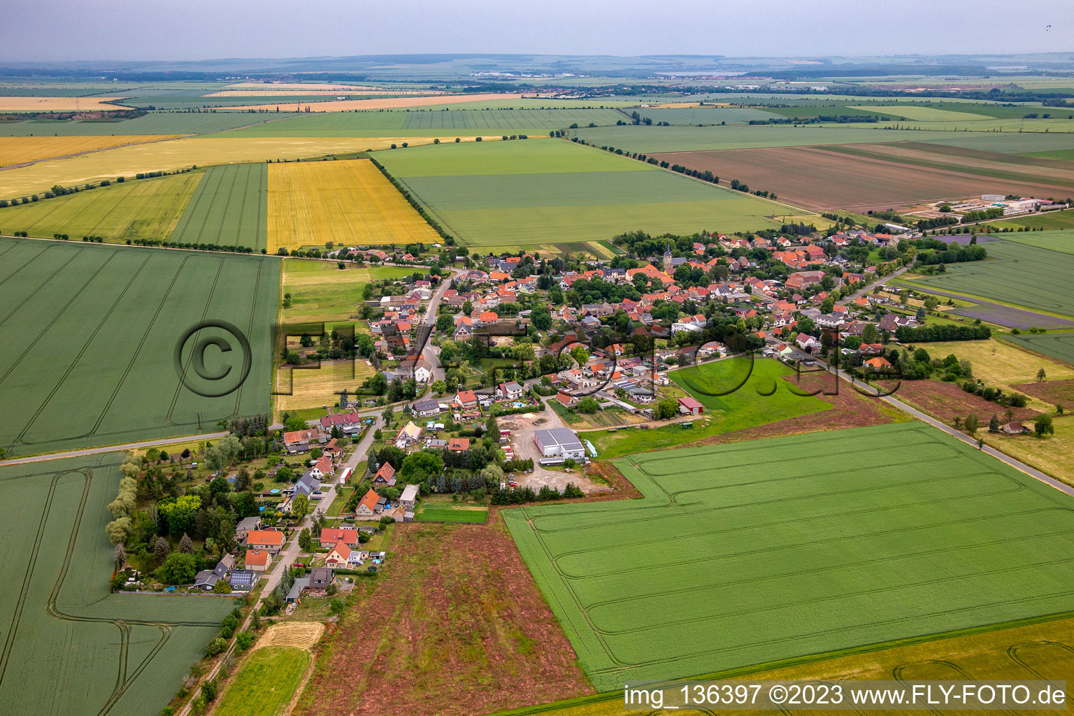 Luftbild von Ortsteil Radisleben in Ballenstedt im Bundesland Sachsen-Anhalt, Deutschland