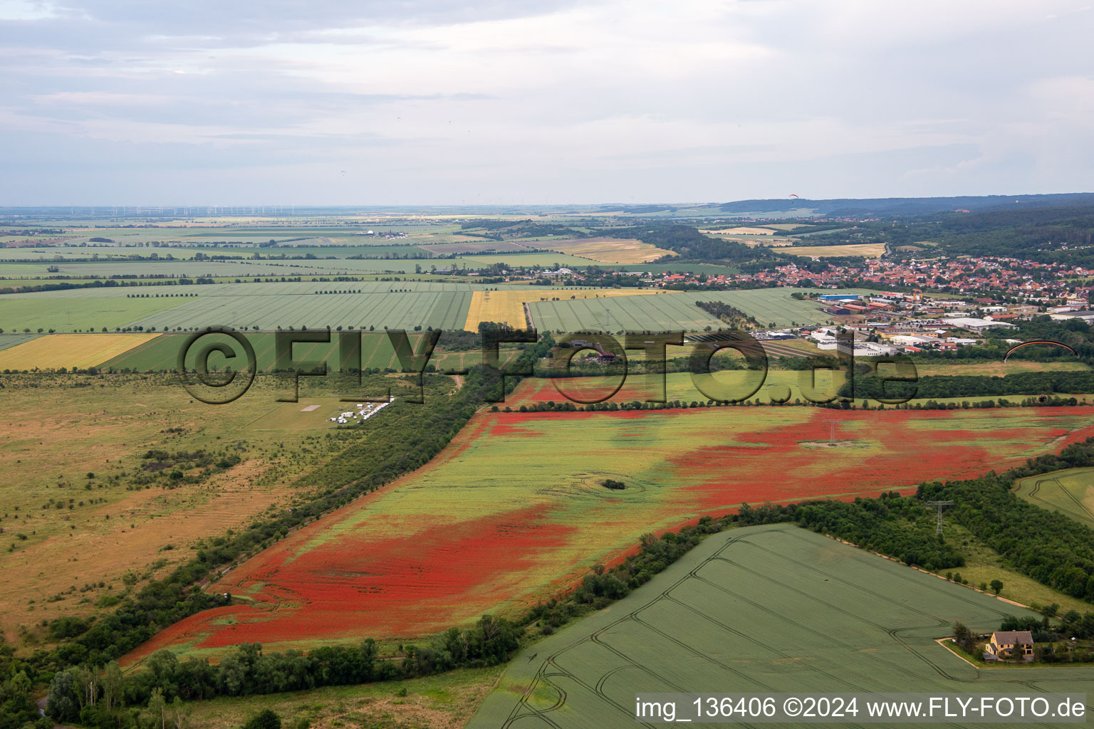 Luftaufnahme von Klatschmohn auf Kornfeldern im Ortsteil Gernrode in Quedlinburg im Bundesland Sachsen-Anhalt, Deutschland