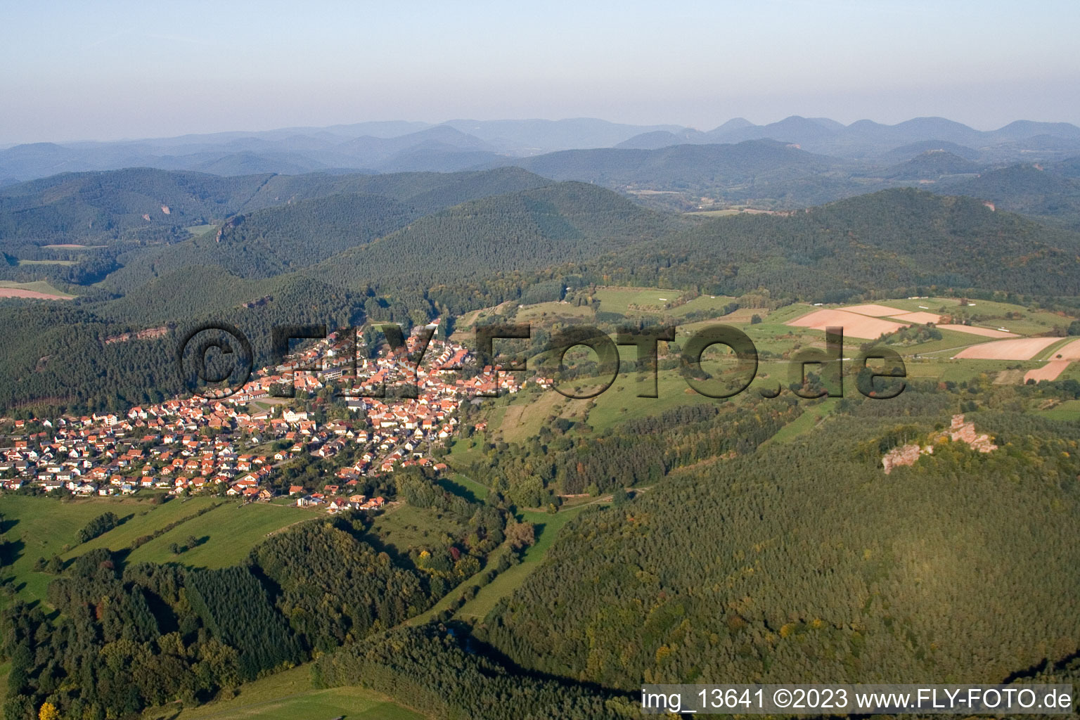 Busenberg im Bundesland Rheinland-Pfalz, Deutschland aus der Luft betrachtet
