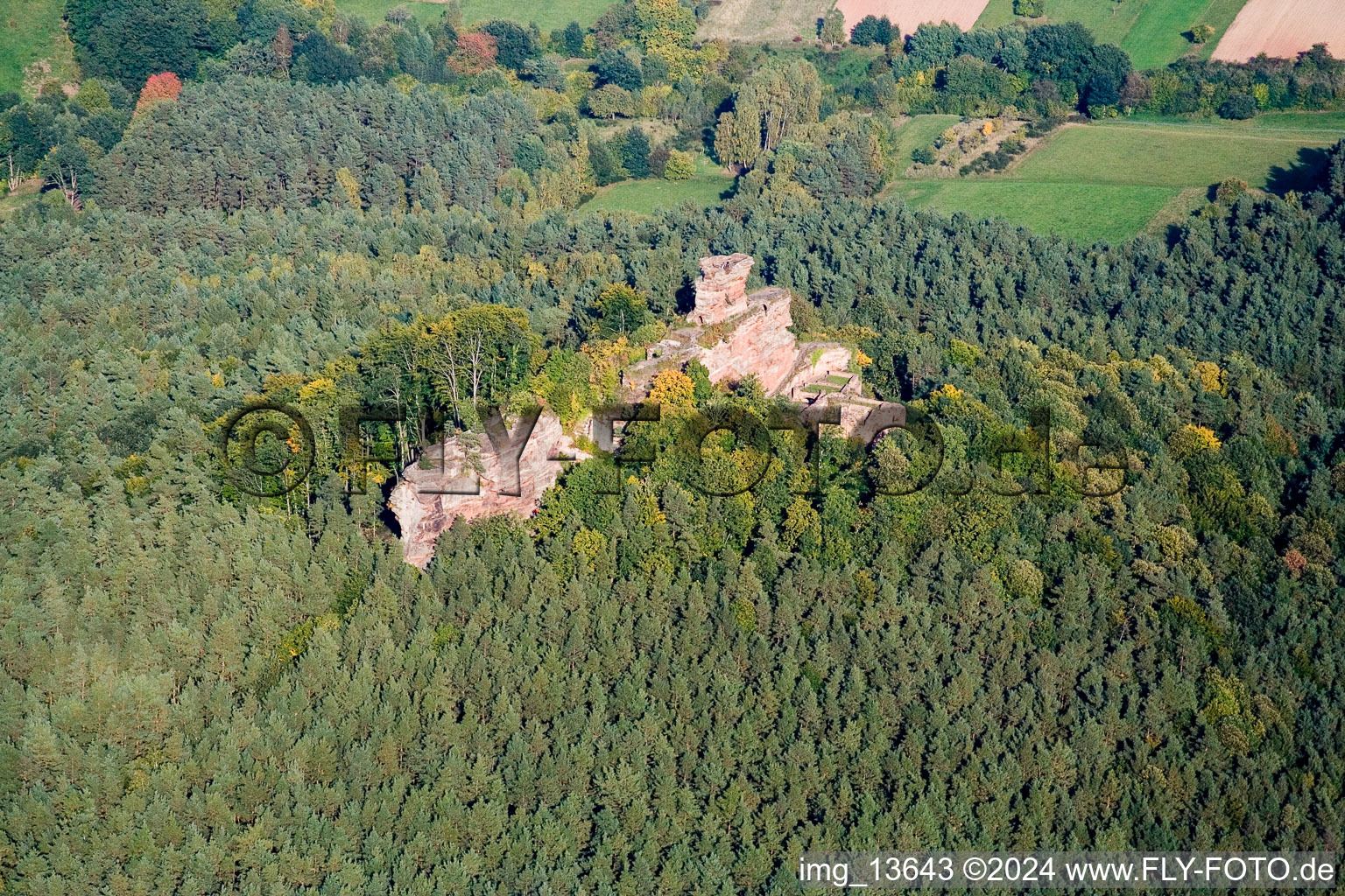 Ruine und Mauerreste der Burg Drachenfels in Busenberg im Bundesland Rheinland-Pfalz, Deutschland