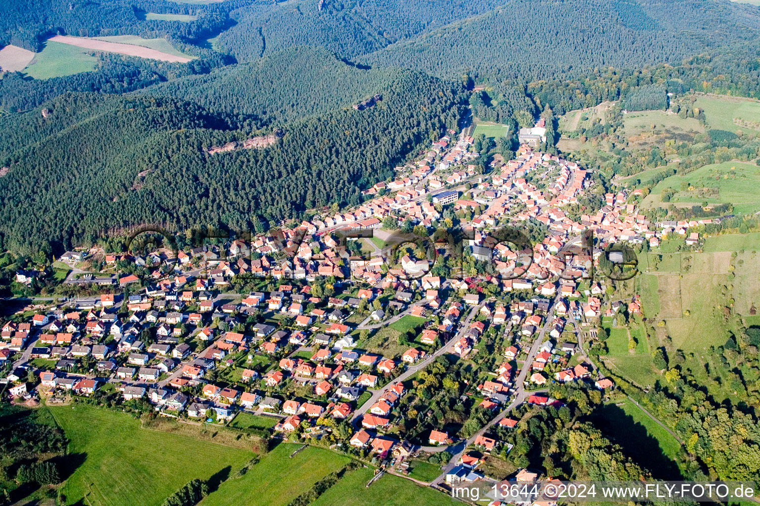 Drohnenbild von Busenberg im Bundesland Rheinland-Pfalz, Deutschland