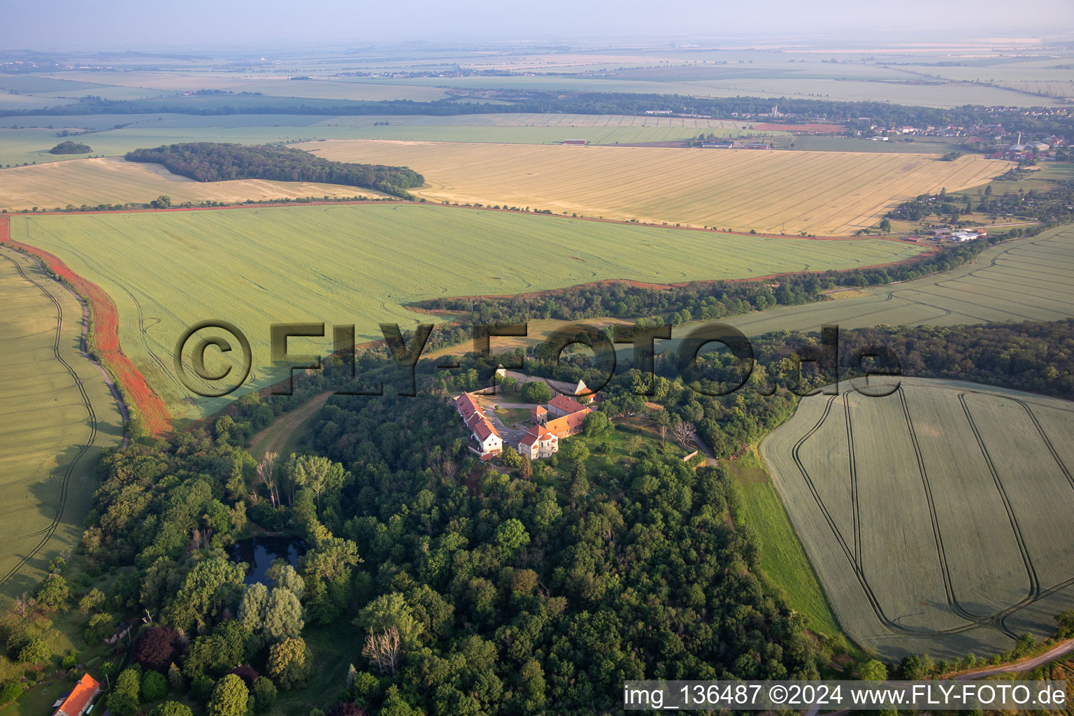 Konradsburg im Ortsteil Ermsleben in Falkenstein im Bundesland Sachsen-Anhalt, Deutschland von oben