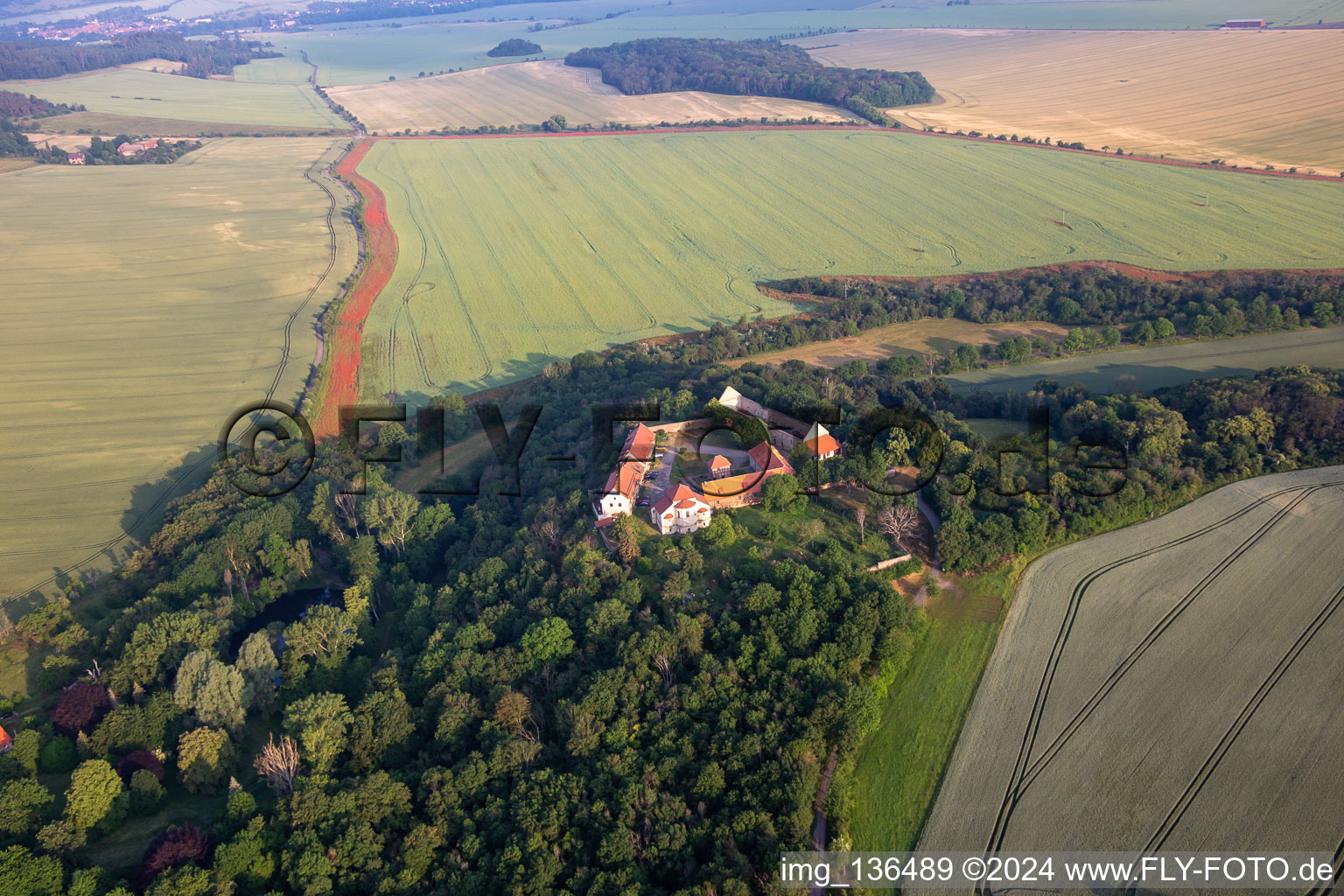 Konradsburg im Ortsteil Ermsleben in Falkenstein im Bundesland Sachsen-Anhalt, Deutschland von oben gesehen