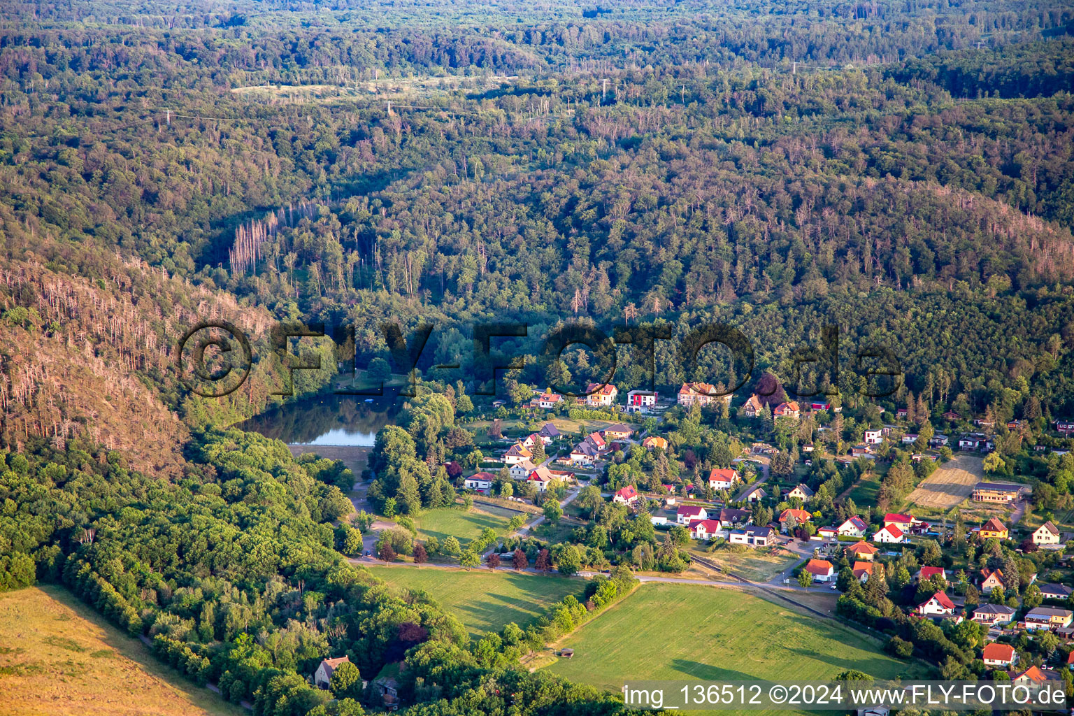 Waldbad Osterteich im Ortsteil Gernrode in Quedlinburg im Bundesland Sachsen-Anhalt, Deutschland