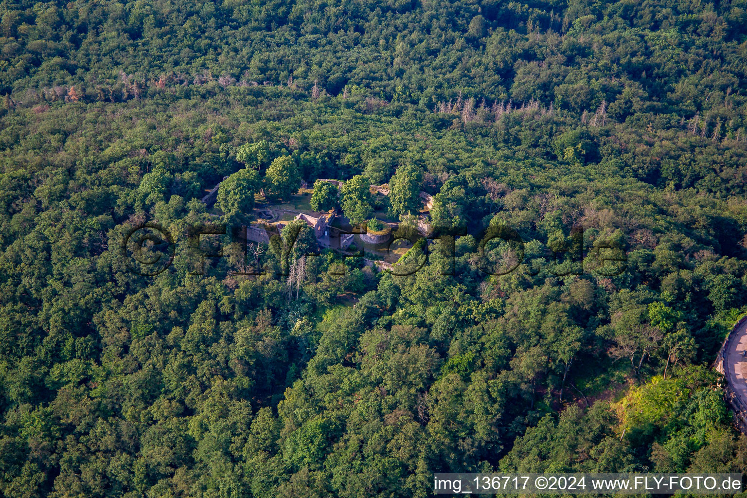 Kyffhäuser Unterburg im Ortsteil Steinthaleben in Kyffhäuserland im Bundesland Thüringen, Deutschland