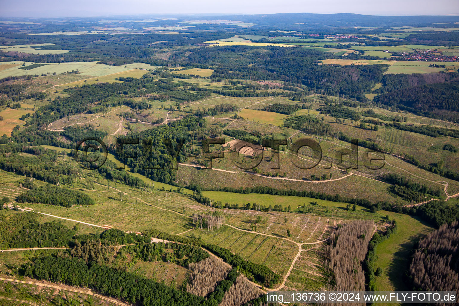 Reste des Borkenkäferwalds und Aufforstungen im Ortsteil Dankerode in Harzgerode im Bundesland Sachsen-Anhalt, Deutschland