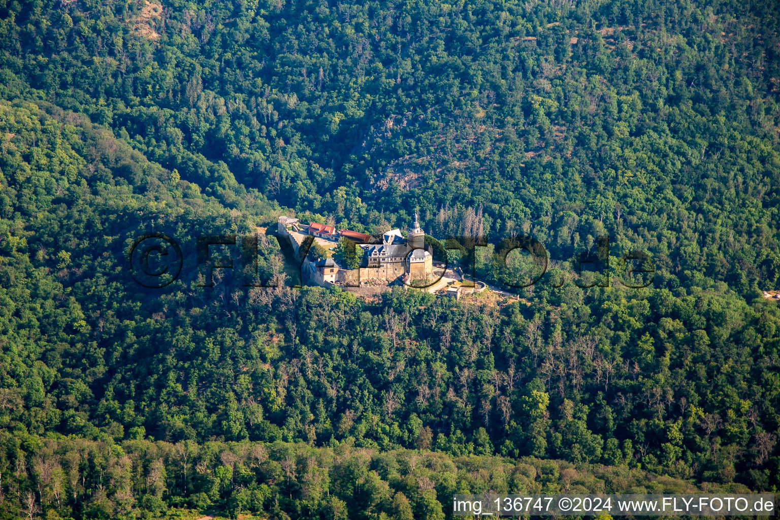 Luftbild von Burg Falkenstein (Harz) im Ortsteil Pansfelde im Bundesland Sachsen-Anhalt, Deutschland