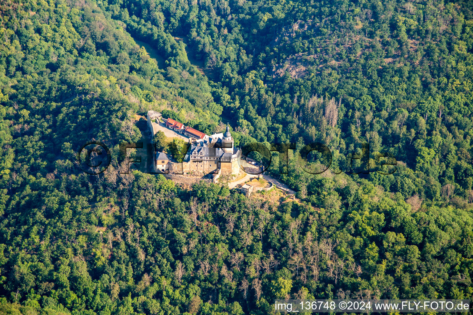 Luftaufnahme von Burg Falkenstein (Harz) im Ortsteil Pansfelde im Bundesland Sachsen-Anhalt, Deutschland