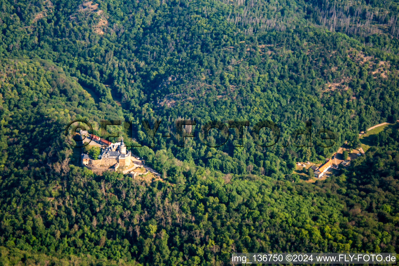 Schrägluftbild von Burg Falkenstein (Harz) im Ortsteil Pansfelde im Bundesland Sachsen-Anhalt, Deutschland