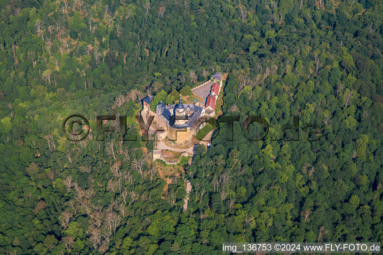 Burg Falkenstein (Harz) im Ortsteil Pansfelde im Bundesland Sachsen-Anhalt, Deutschland von oben gesehen