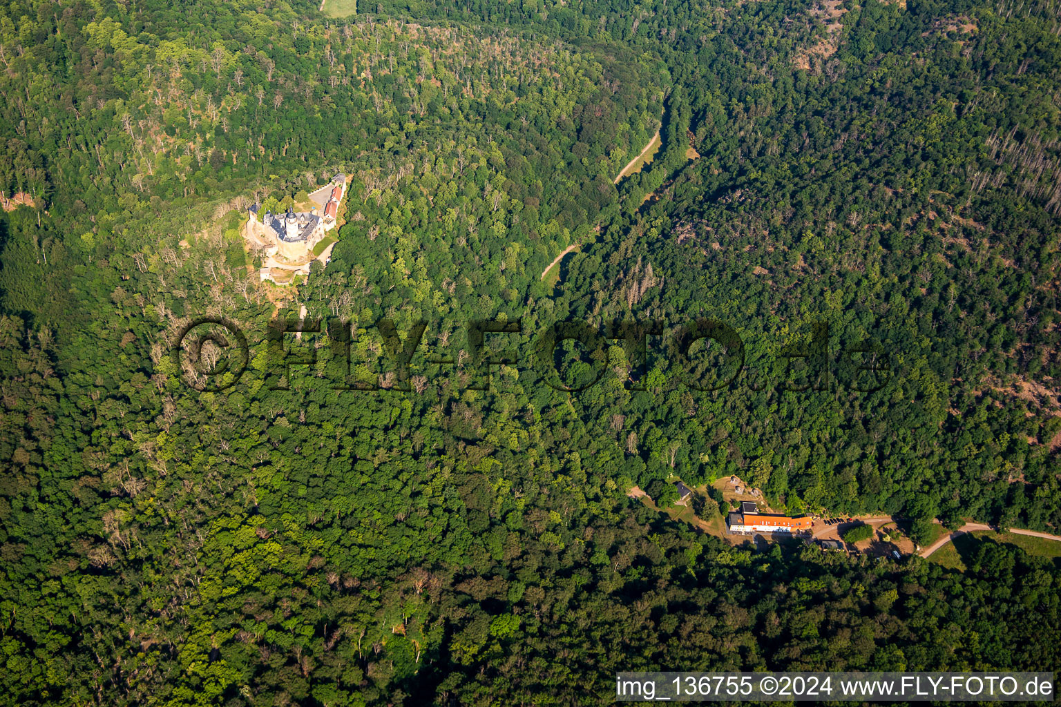 Burg Falkenstein (Harz) im Ortsteil Pansfelde im Bundesland Sachsen-Anhalt, Deutschland vom Flugzeug aus