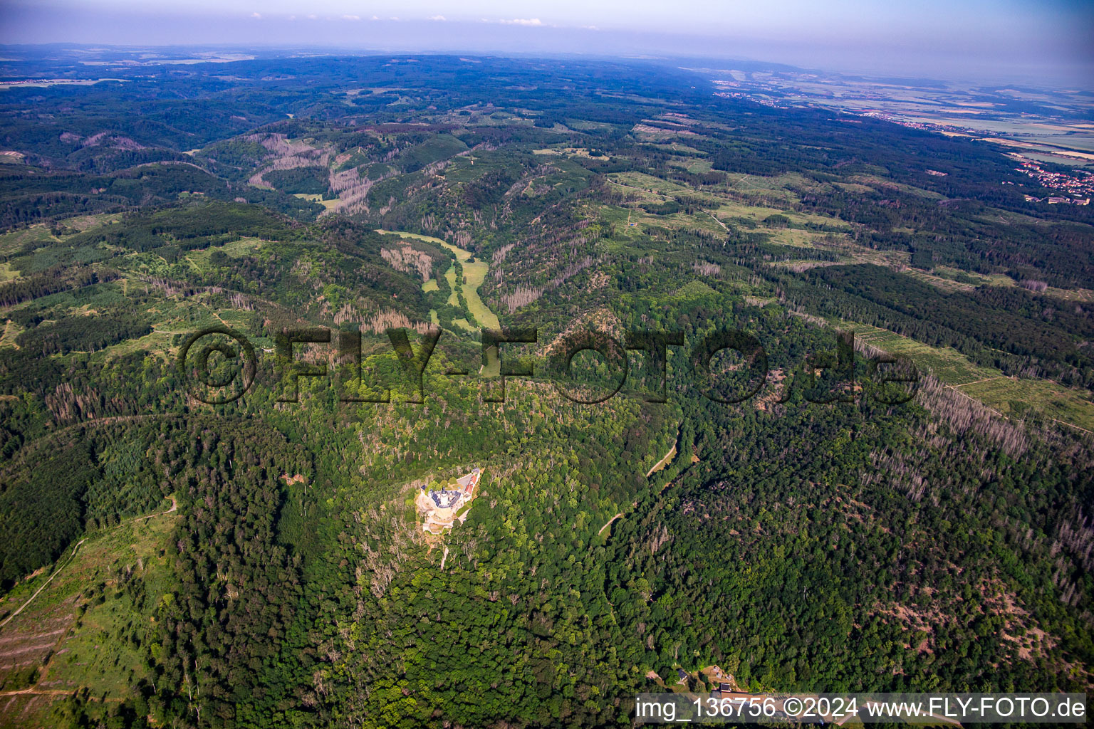 Burg Falkenstein (Harz) im Ortsteil Pansfelde im Bundesland Sachsen-Anhalt, Deutschland aus der Vogelperspektive