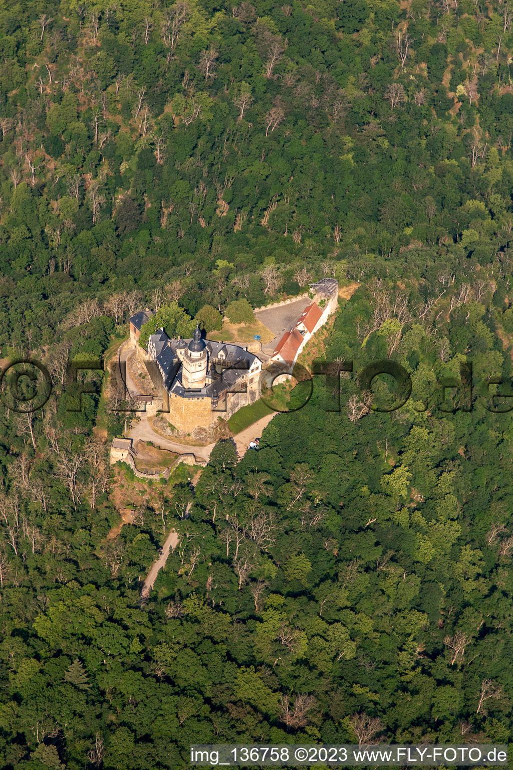 Burg Falkenstein (Harz) im Ortsteil Pansfelde im Bundesland Sachsen-Anhalt, Deutschland aus der Luft betrachtet