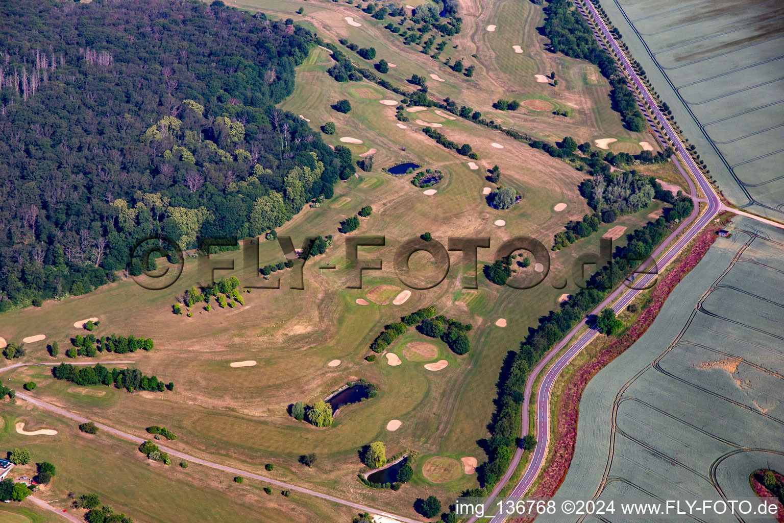 Schrägluftbild von Golfclub Schloß Meisdorf e.V in Falkenstein im Bundesland Sachsen-Anhalt, Deutschland