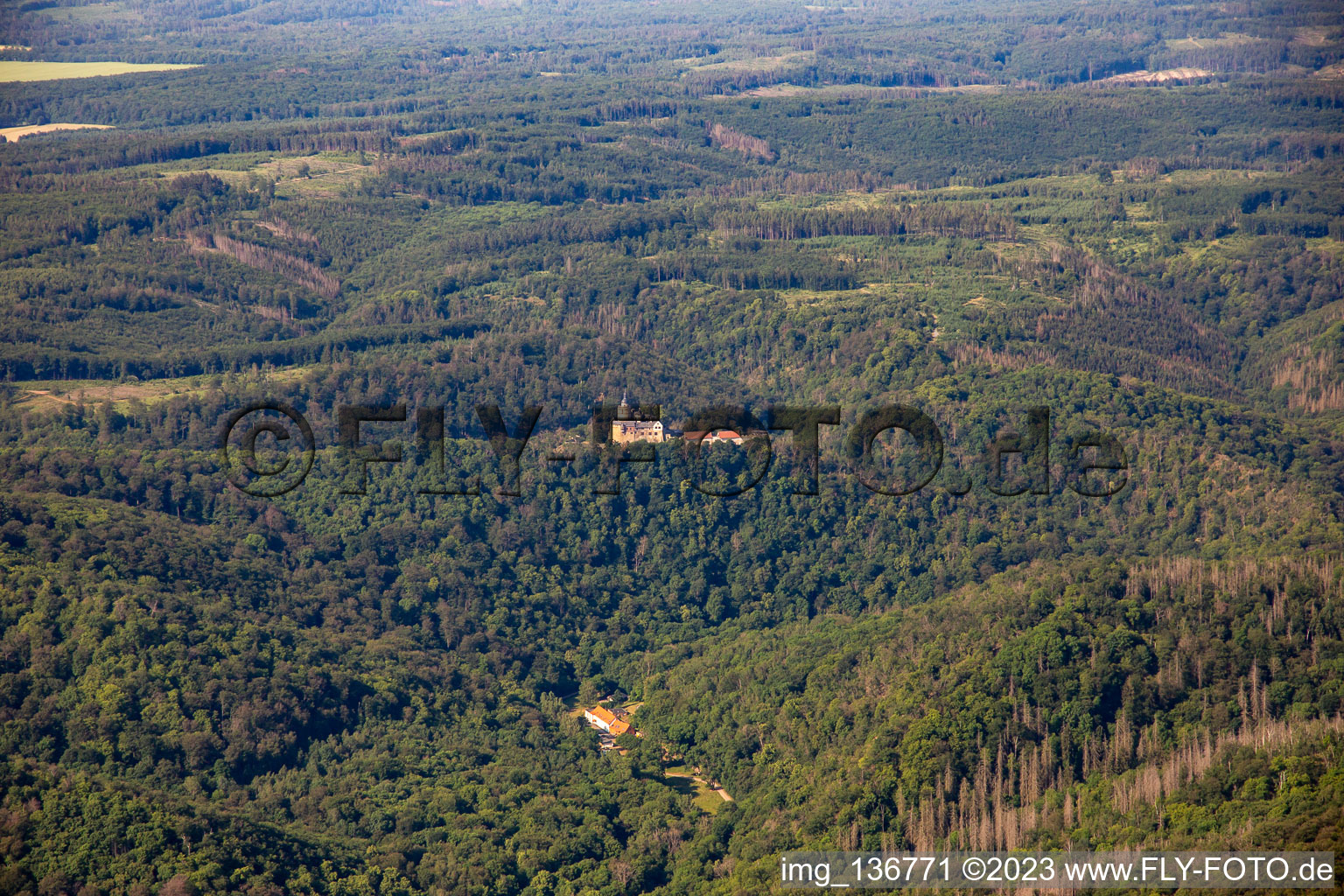 Luftbild von Burg Falkenstein (Harz) und Senketal im Ortsteil Pansfelde im Bundesland Sachsen-Anhalt, Deutschland