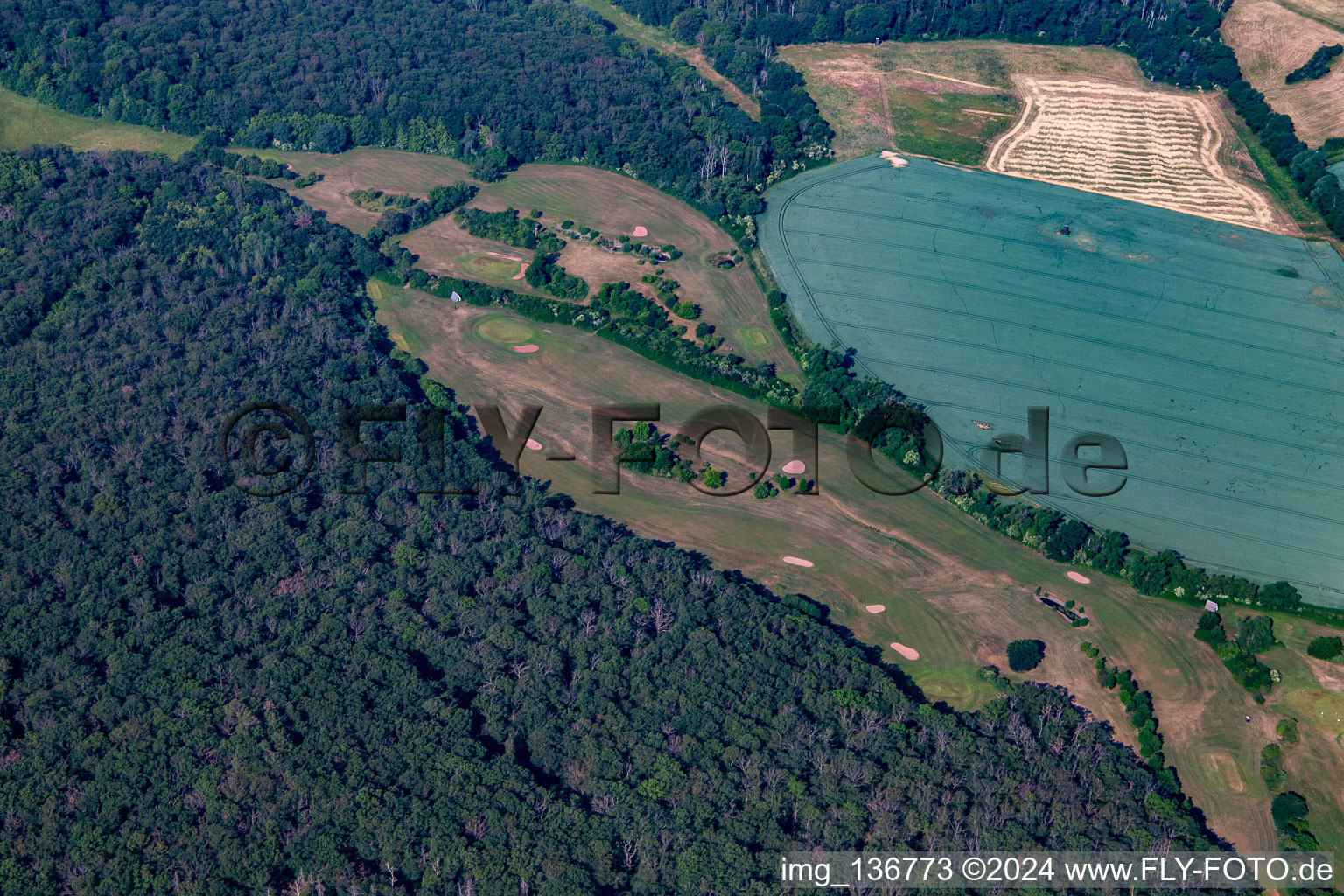 Golfclub Schloß Meisdorf e.V in Falkenstein im Bundesland Sachsen-Anhalt, Deutschland von oben