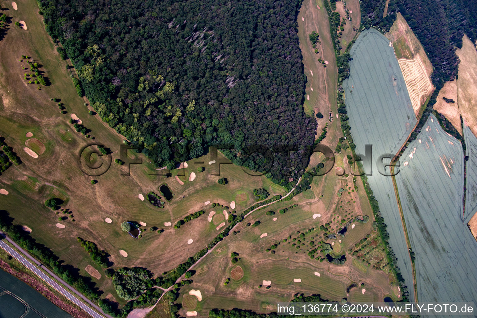 Golfclub Schloß Meisdorf e.V in Falkenstein im Bundesland Sachsen-Anhalt, Deutschland aus der Luft