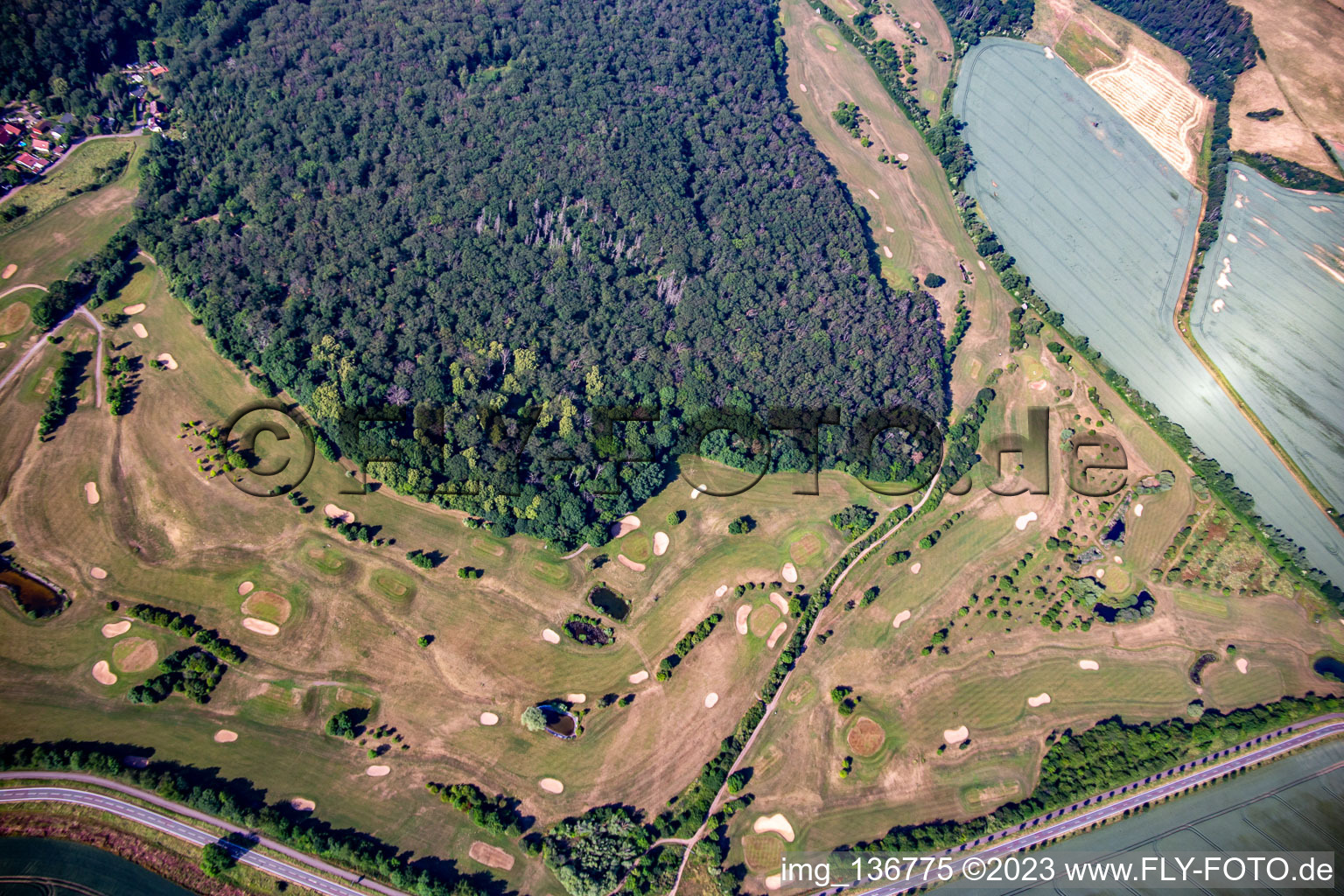 Golfclub Schloß Meisdorf e.V in Falkenstein im Bundesland Sachsen-Anhalt, Deutschland von oben gesehen