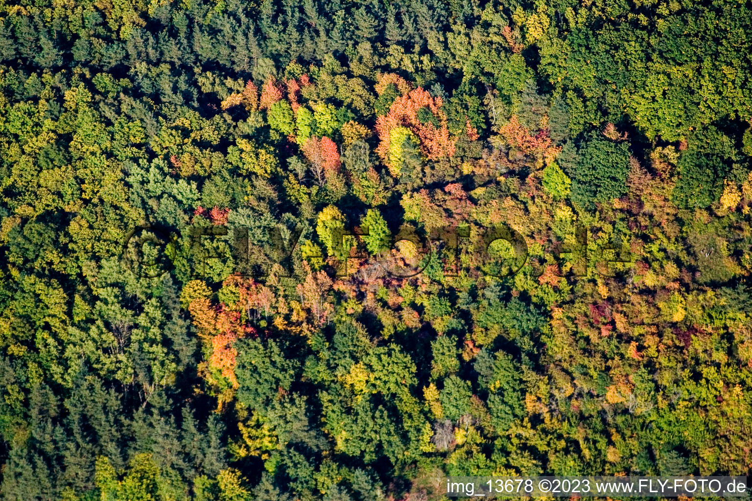 Drohnenbild von Waldhambach im Bundesland Rheinland-Pfalz, Deutschland