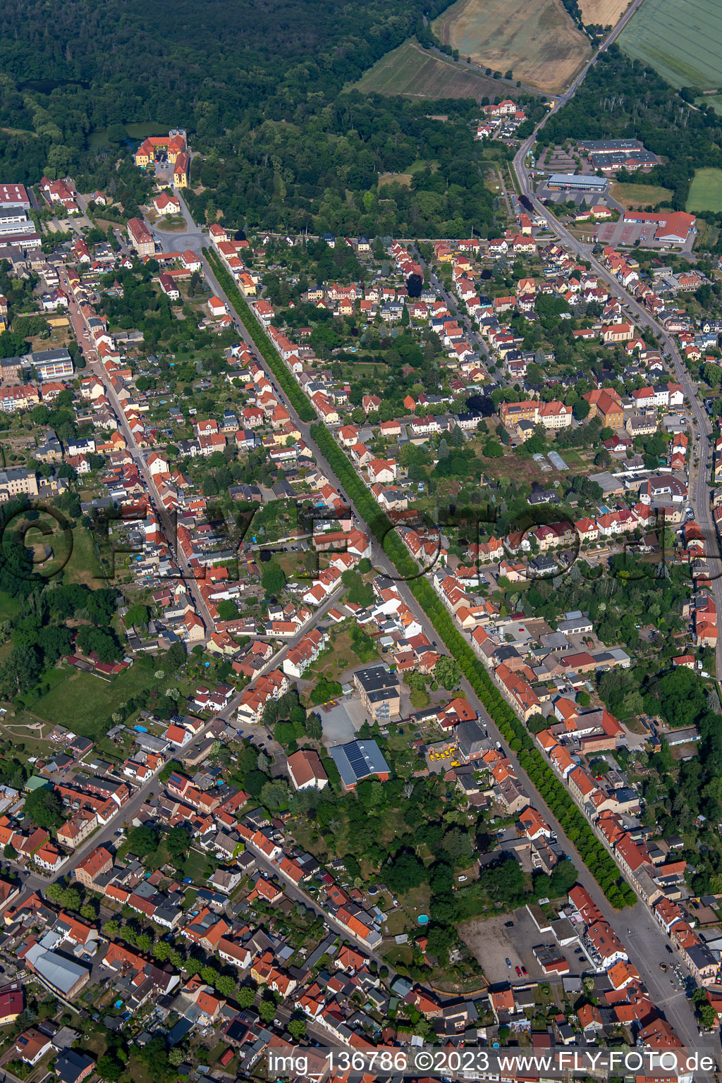 Luftbild von Allee zum Schloß in Ballenstedt im Bundesland Sachsen-Anhalt, Deutschland