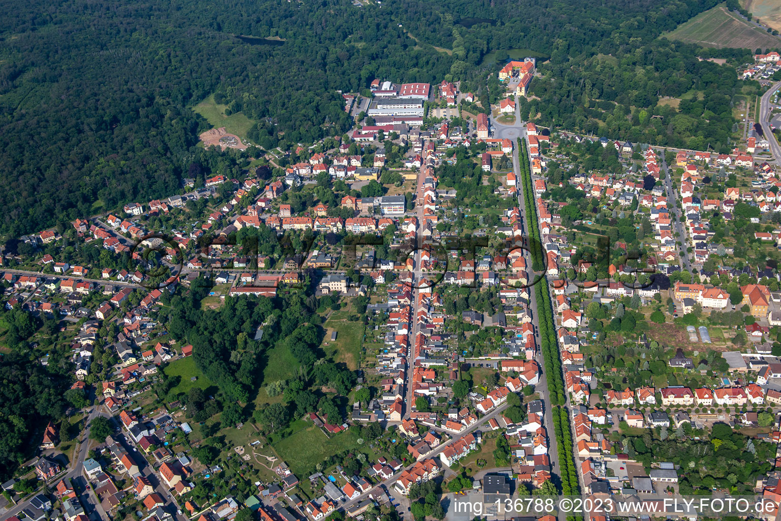 Luftaufnahme von Allee zum Schloß in Ballenstedt im Bundesland Sachsen-Anhalt, Deutschland
