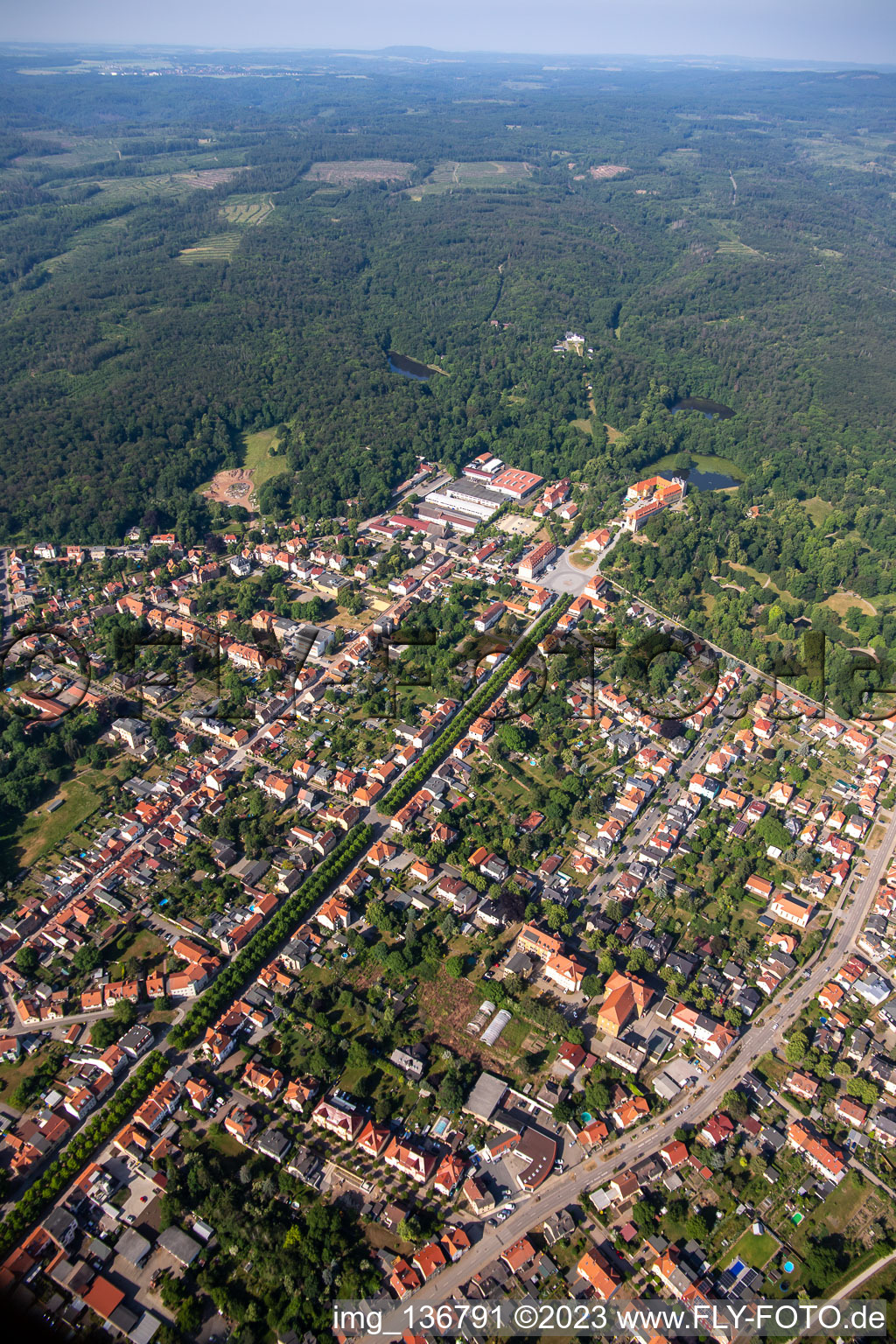 Schrägluftbild von Allee zum Schloß in Ballenstedt im Bundesland Sachsen-Anhalt, Deutschland