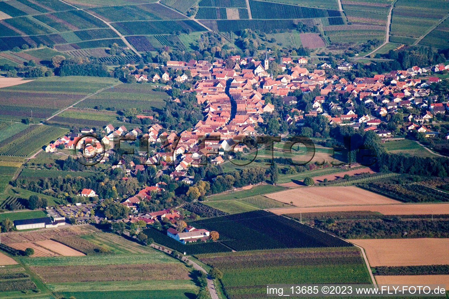 Göcklingen im Bundesland Rheinland-Pfalz, Deutschland aus der Luft