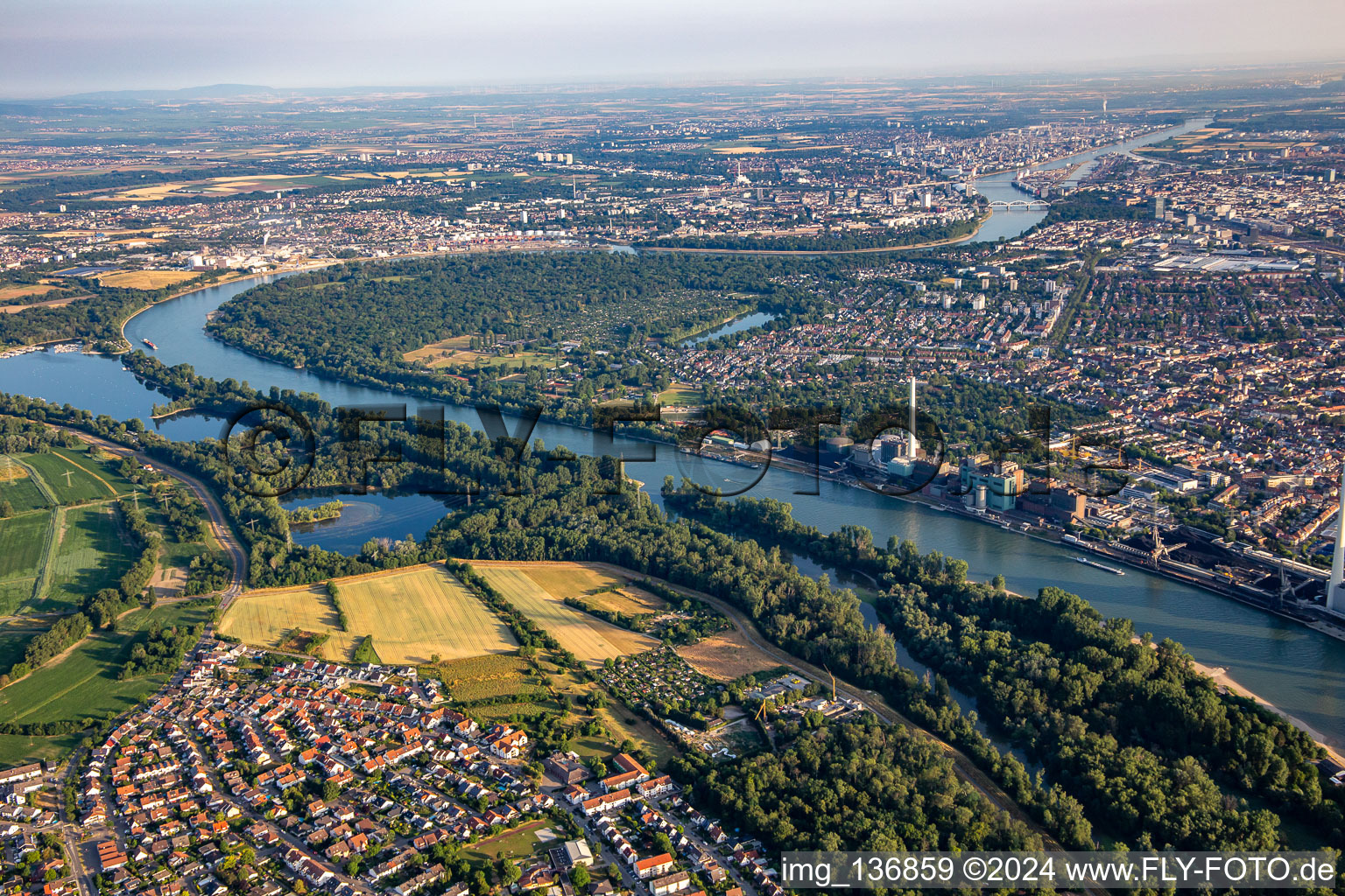 Waldpark in der Rheinschleife im Ortsteil Niederfeld in Mannheim im Bundesland Baden-Württemberg, Deutschland