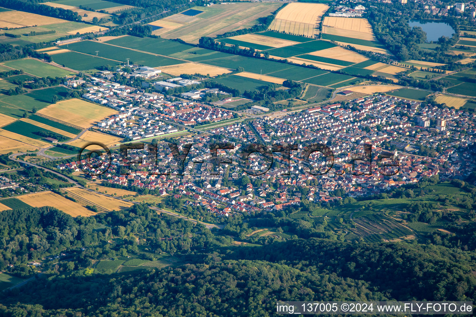 Luftaufnahme von Von Südosten in Laudenbach im Bundesland Baden-Württemberg, Deutschland