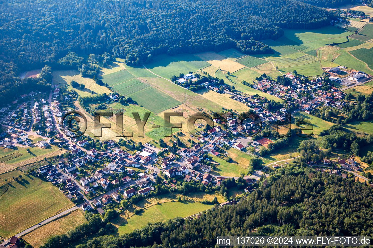 Ortsteil Wahlen in Grasellenbach im Bundesland Hessen, Deutschland von oben