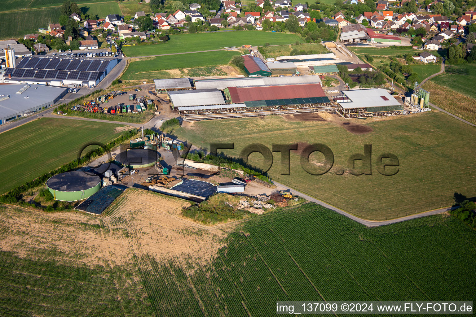 Siefert Horst im Ortsteil Vielbrunn in Michelstadt im Bundesland Hessen, Deutschland