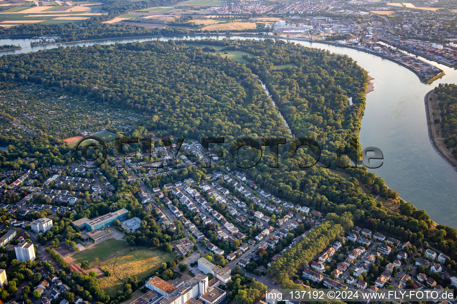 Reißinsel, Naturschutzgebiet in der Rheinschleife im Ortsteil Niederfeld in Mannheim im Bundesland Baden-Württemberg, Deutschland