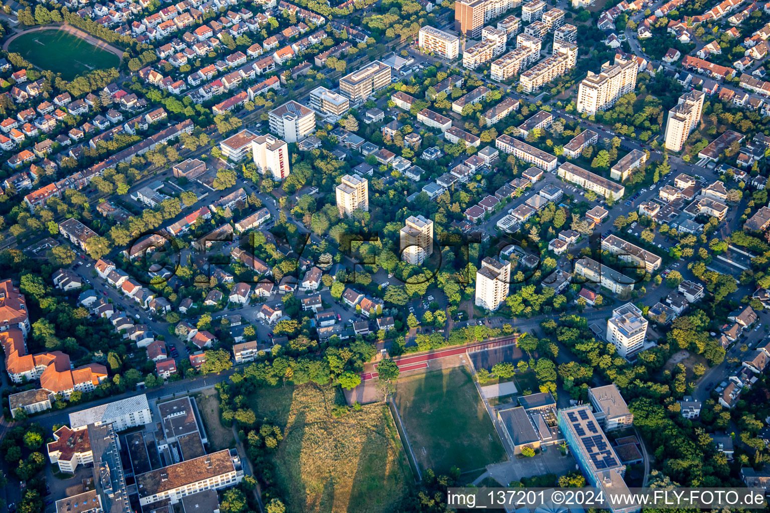 Feldbergstr im Ortsteil Niederfeld in Mannheim im Bundesland Baden-Württemberg, Deutschland