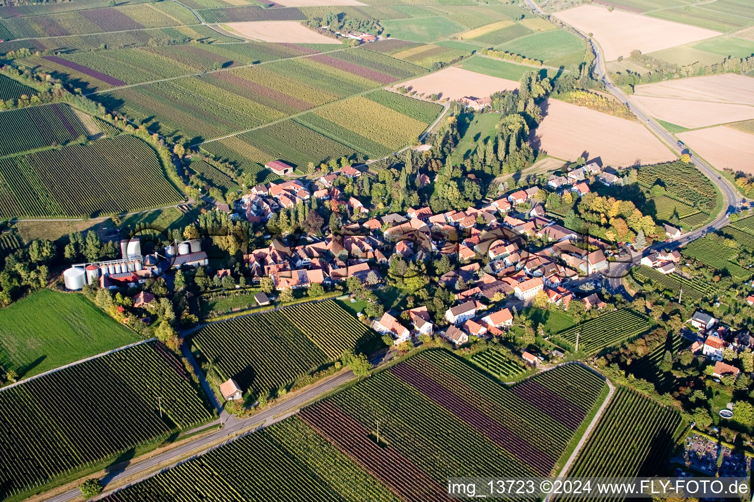 Luftbild von Ortsansicht der Straßen und Häuser der Wohngebiete im Ortsteil Appenhofen in Billigheim-Ingenheim im Bundesland Rheinland-Pfalz, Deutschland