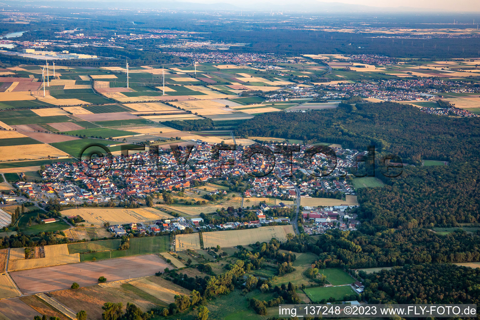 Harthausen im Bundesland Rheinland-Pfalz, Deutschland vom Flugzeug aus
