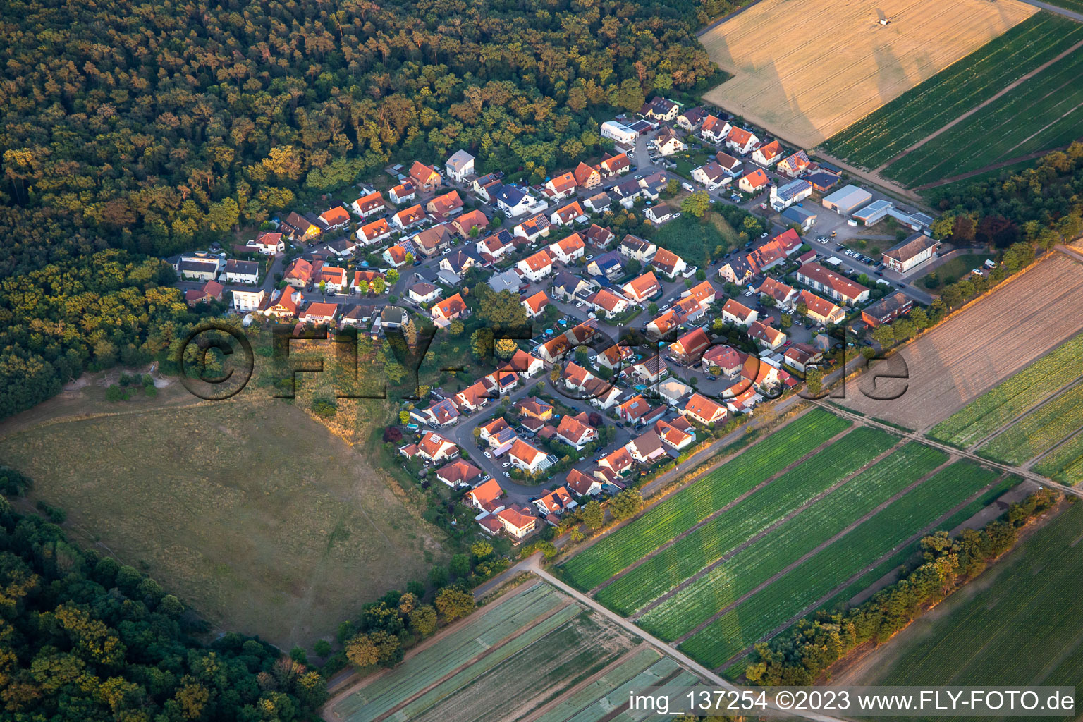 Buchenstr in Schwegenheim im Bundesland Rheinland-Pfalz, Deutschland