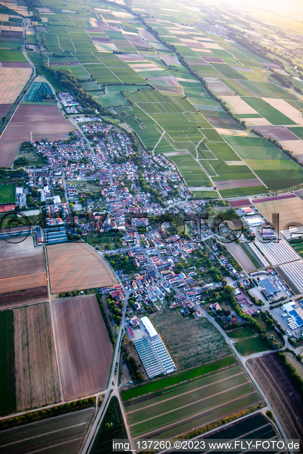 Luftbild von Von Osten in Weingarten im Bundesland Rheinland-Pfalz, Deutschland