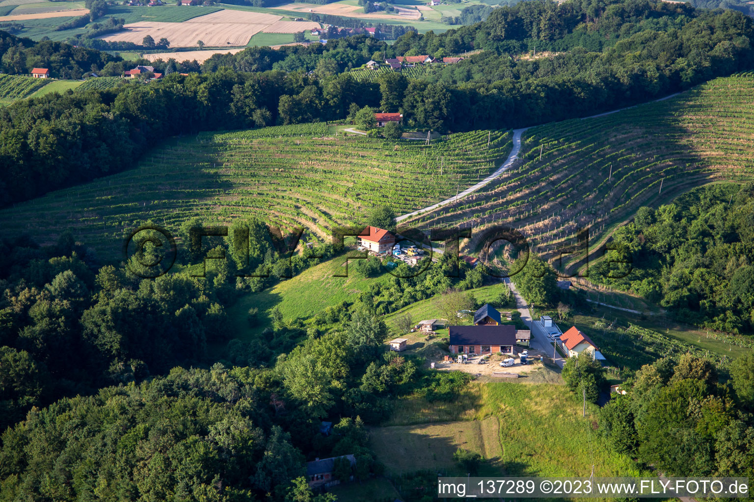 Weinberge im Ortsteil Podgorci in Ormož, Slowenien