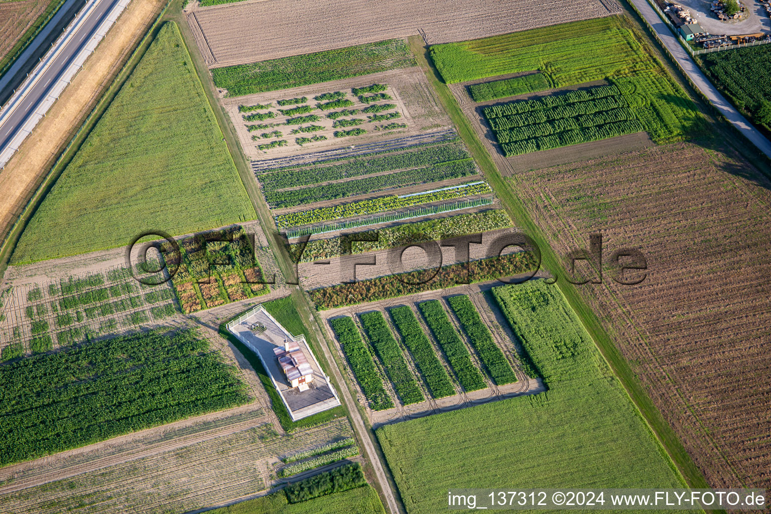 Gemüsefelder in Ptuj, Slowenien