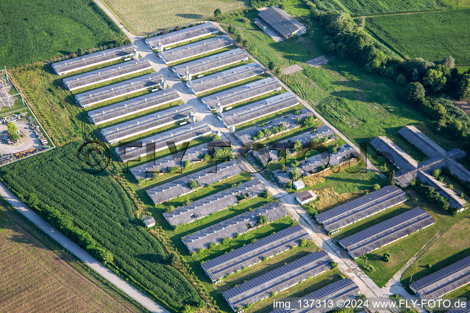 Ehemalige Gewächshäuser mit PV-Anlage und Fahradclub Kolesarski klub perutnina Ptuj, Slowenien