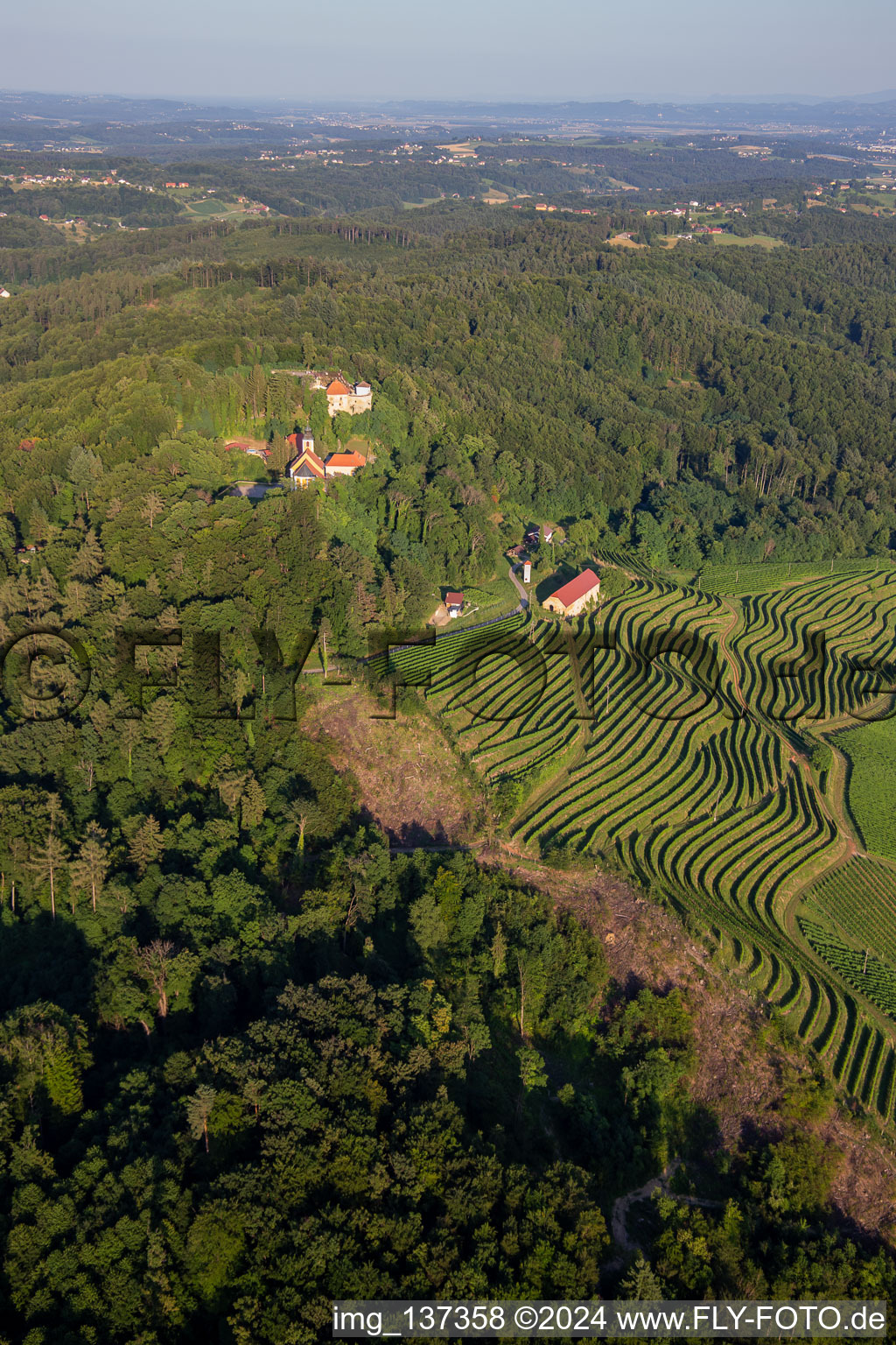 Luftbild von Kirche Župnijska cerkev sv. Marije Vnebovzete und Café Huda Liza über den Weinbergen des Vurberg im Ortsteil Vurberk in Duplek, Slowenien