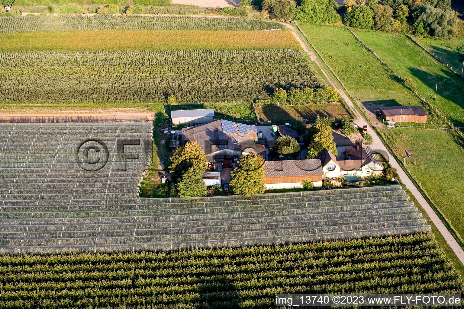 Steinweiler, Lindenhof: Obst und Spargelhof Gensheimer im Bundesland Rheinland-Pfalz, Deutschland