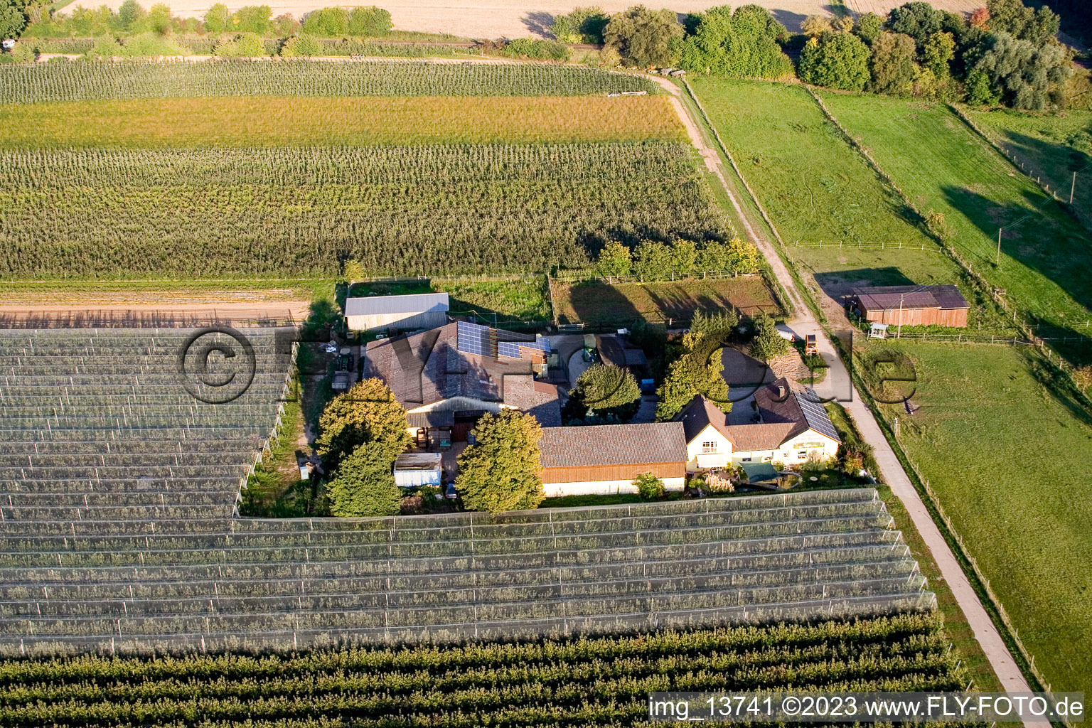 Luftbild von Steinweiler, Lindenhof: Obst und Spargelhof Gensheimer im Bundesland Rheinland-Pfalz, Deutschland