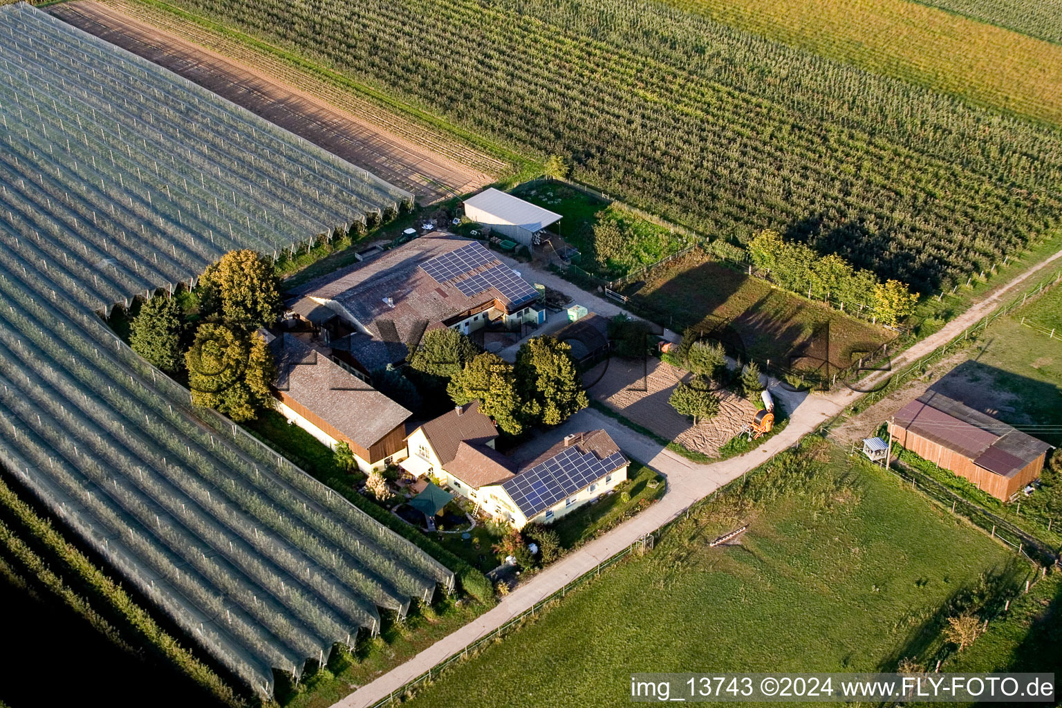 Schrägluftbild von Steinweiler, Lindenhof: Obst und Spargelhof Gensheimer im Bundesland Rheinland-Pfalz, Deutschland