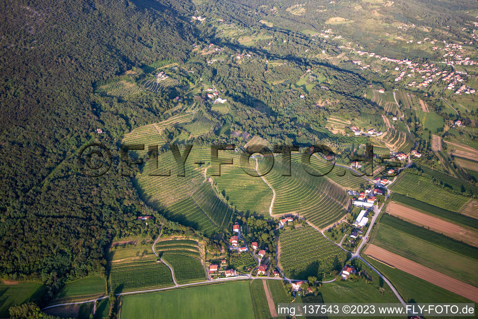 Luftbild von Weinberge im Ortsteil Kromberk in Nova Gorica, Slowenien