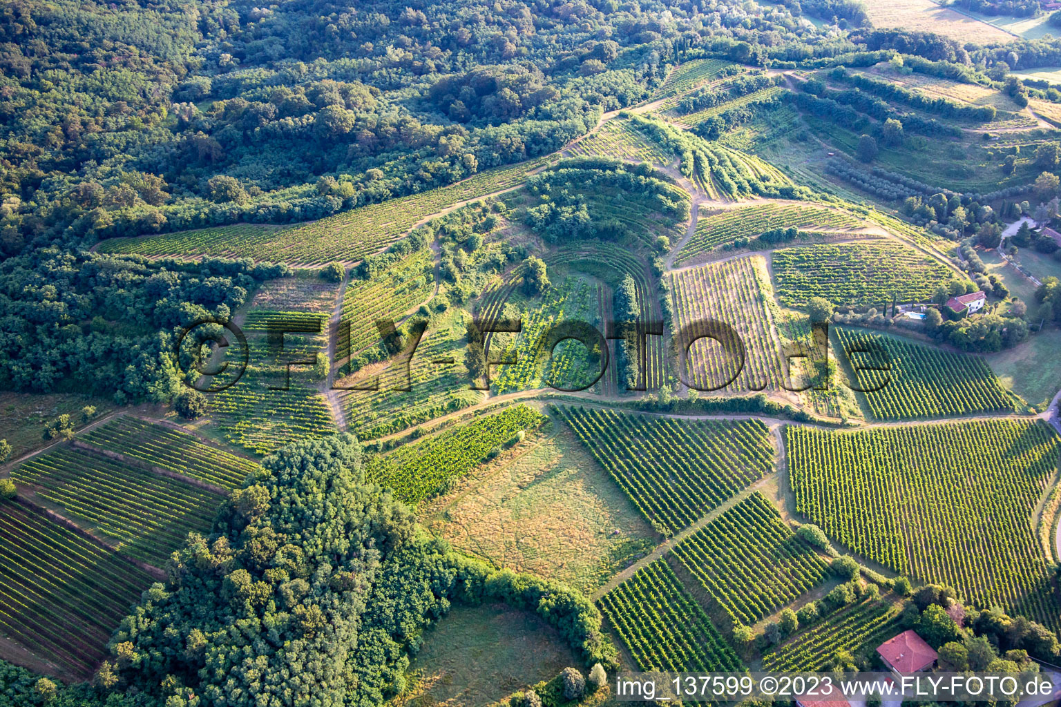 Luftbild von Weinberge in Mossa im Bundesland Gorizia, Italien